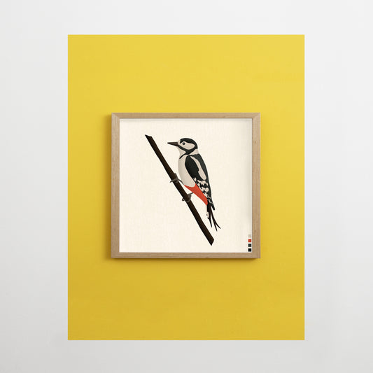 Great Spotted Woodpecker Print